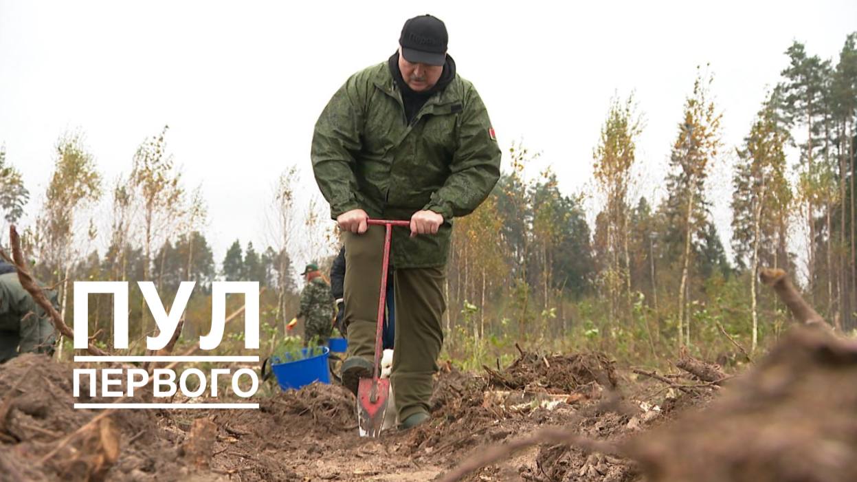 Пример показал Президент! Александр Лукашенко дал старт акции 