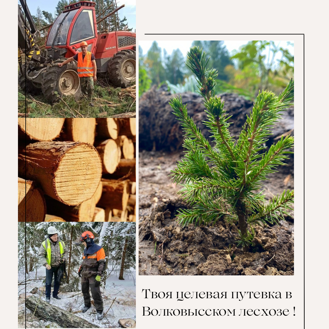 ВНИМАНИЕ! АБИТУРИЕНТЫ!