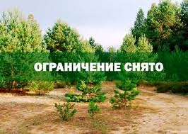 Снято оганичение  на посещение лесов гражданами.