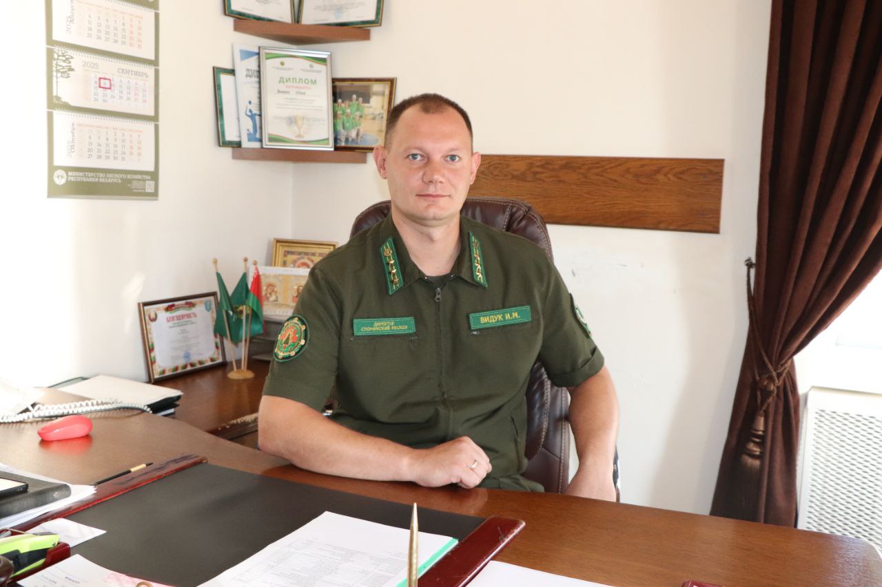 С Днем работников леса !