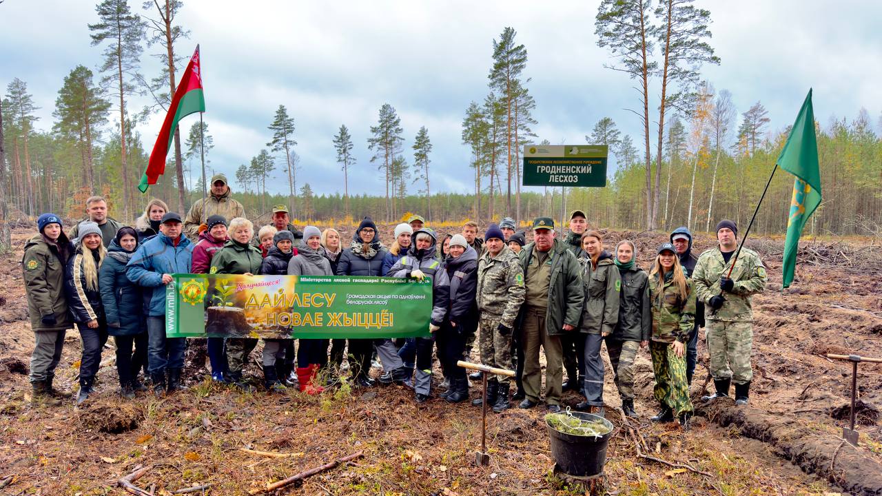 Коллектив Гродненского лесхоза на заключительном дне Республиканской акции «Дай лесу новае жыццё»