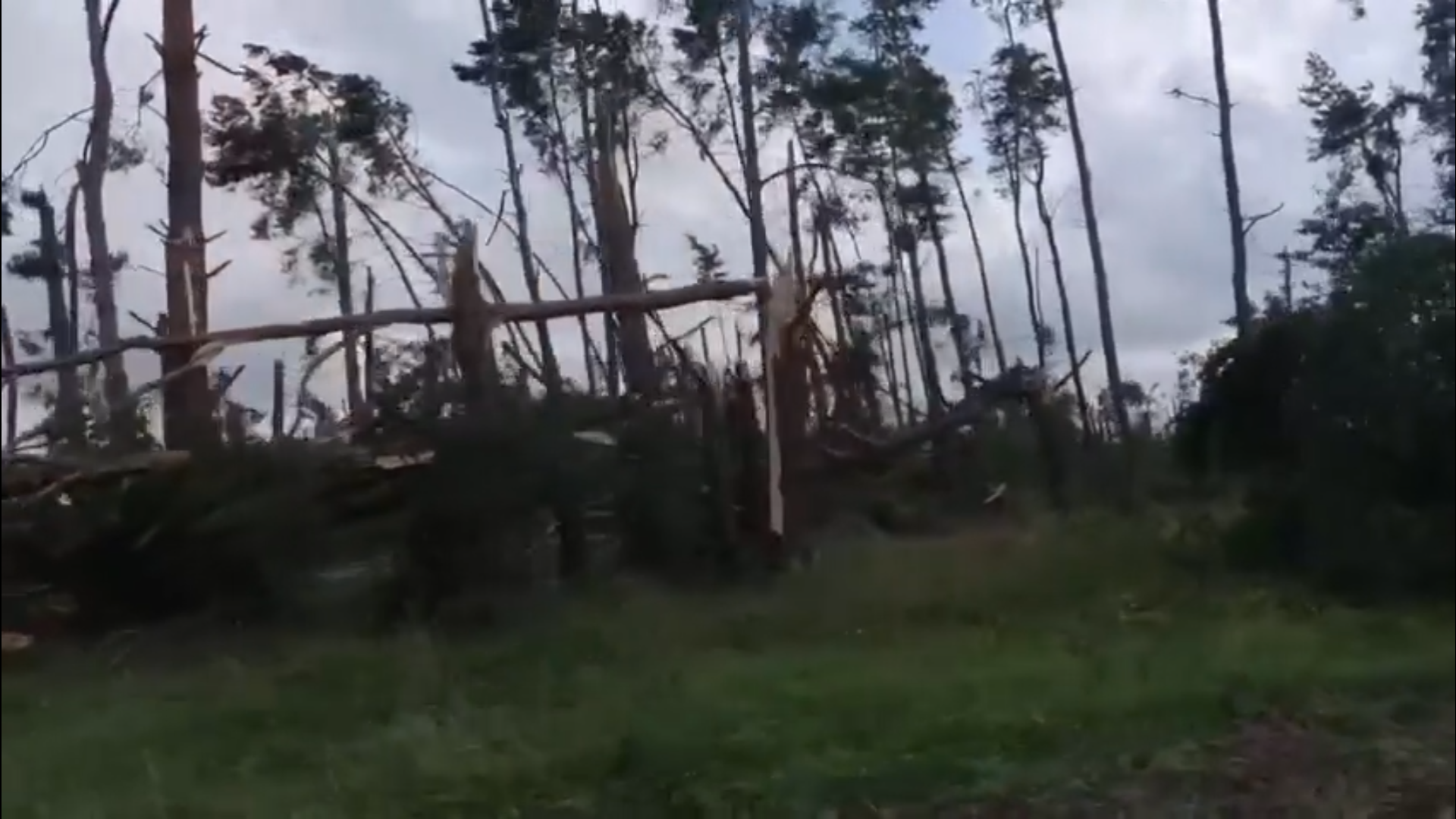 Последствия непогоды в Гродненской области