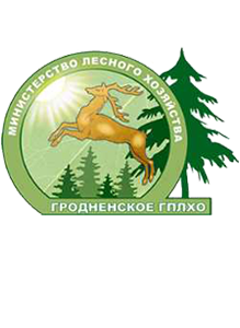 Семинар-совещание идеологических работников Министерства лесного хозяйства