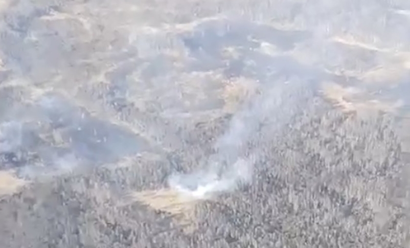 В Беларуси зафиксированы первые в сезоне лесные пожары